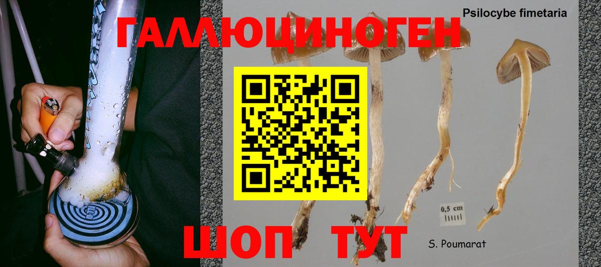 Псилоцибиновые грибы MAGIC MUSHROOMS Биробиджан