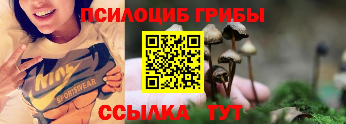 Биробиджан  Галлюциногенные грибы мухоморы  Вход с VPN 